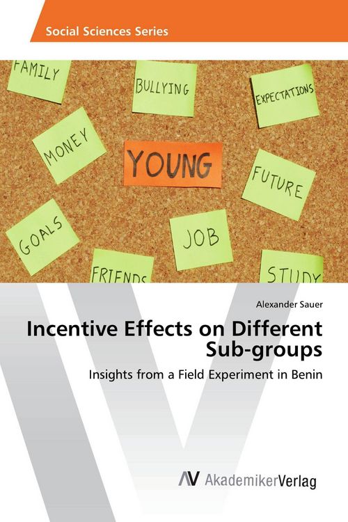 Produktbild: Incentive Effects on Different Sub-groups