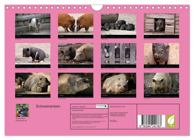 Produktbild: Schweinereien (Wandkalender 2027 DIN A4 quer), CALVENDO Monatskalender
