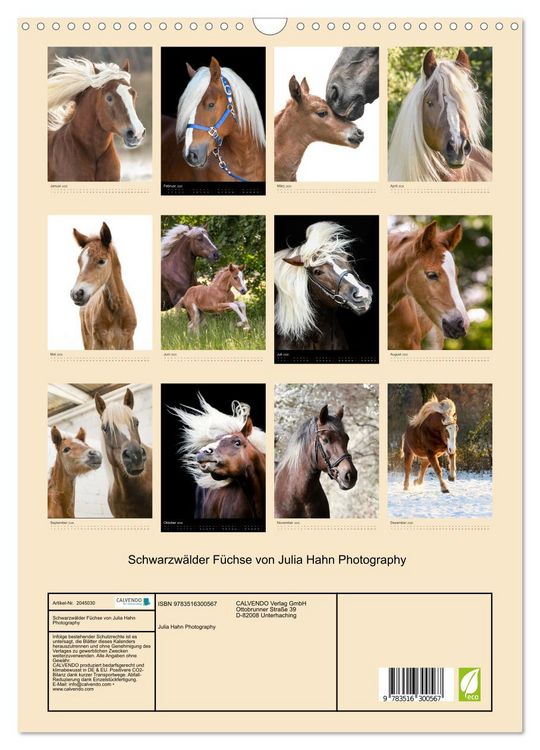 Produktbild: Schwarzw&auml;lder F&uuml;chse von Julia Hahn Photography (Wandkalender 2026 DIN A3 hoch), CALVENDO Monatskalender