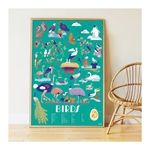 Produktbild: POPPIK - Lernposter & Sticker V&ouml;gel