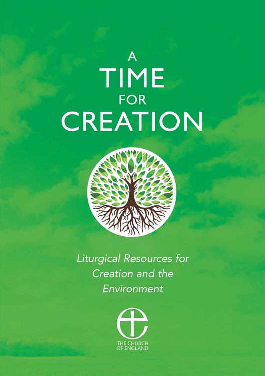 Produktbild: A Time for Creation