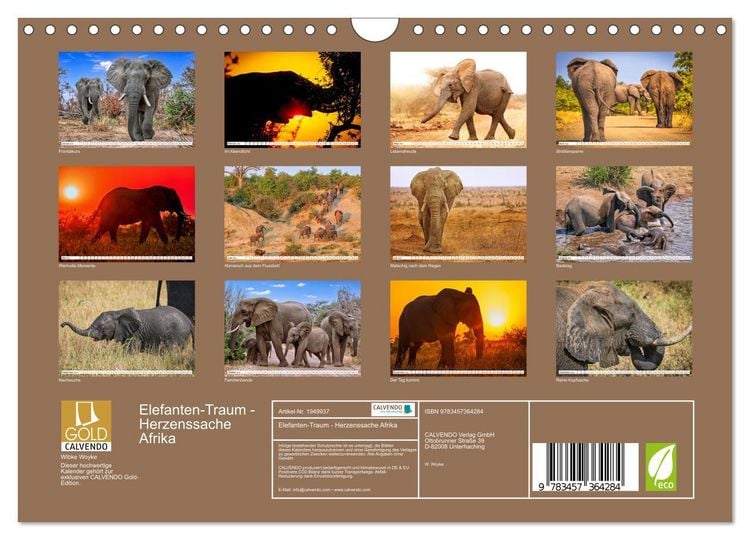 Produktbild: Elefanten-Traum - Herzenssache Afrika (Wandkalender 2026 DIN A4 quer), CALVENDO Monatskalender