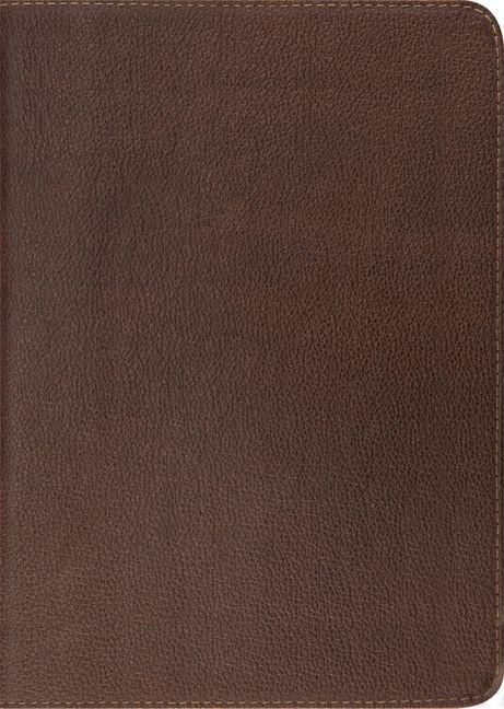 Produktbild: Study Bible-ESV
