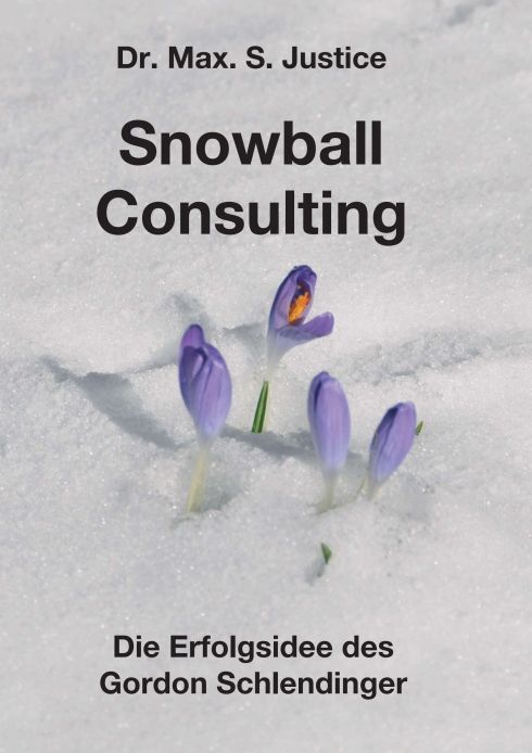 Produktbild: Snowball Consulting