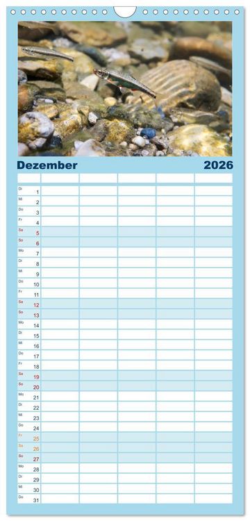 Produktbild: Familienplaner 2026 - Faszination Fische mit 5 Spalten (Wandkalender, 21 x 45 cm) CALVENDO