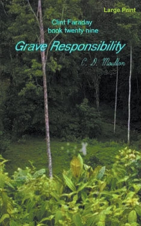 Produktbild: Grave Responsibility