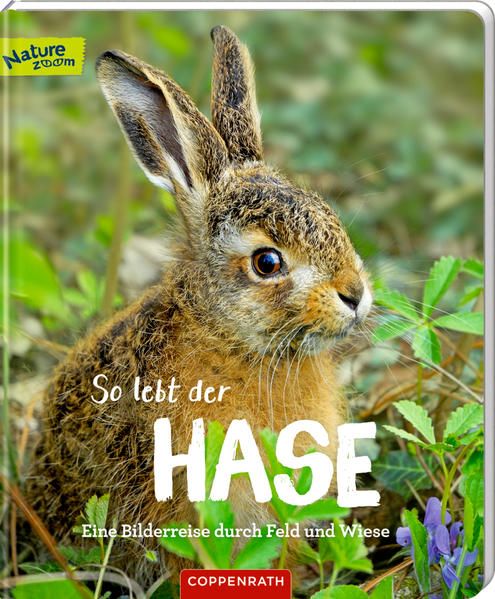 Produktbild: So lebt der Hase