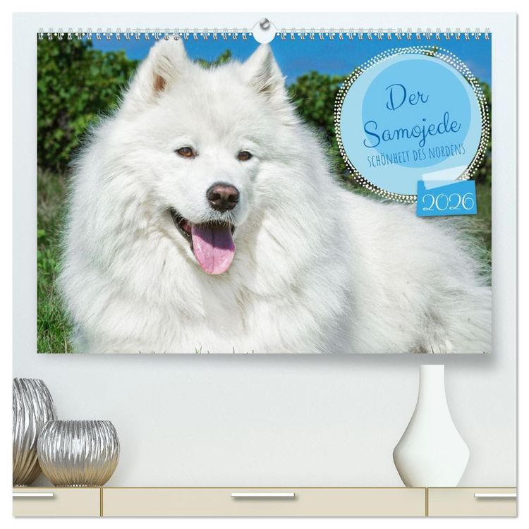 Produktbild: Der Samojede - Sch&ouml;nheit des Nordens (hochwertiger Premium Wandkalender 2026 DIN A2 quer), Kunstdruck in Hochglanz