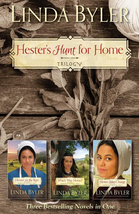 Produktbild: Hester's Hunt for Home Trilogy