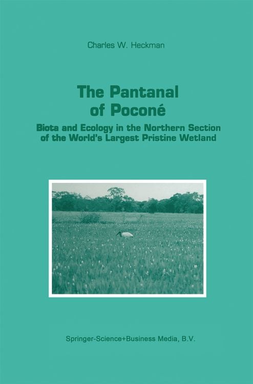 Produktbild: The Pantanal of Pocon&eacute;