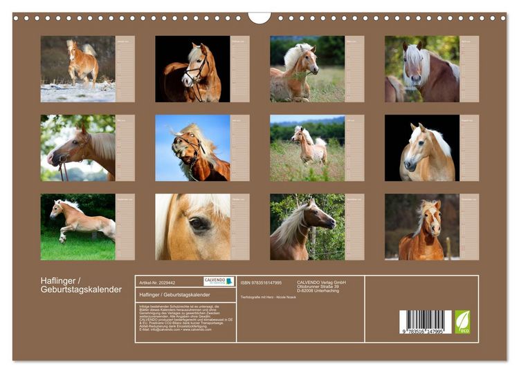 Produktbild: Haflinger / Geburtstagskalender (Wandkalender 2026 DIN A3 quer), CALVENDO Monatskalender