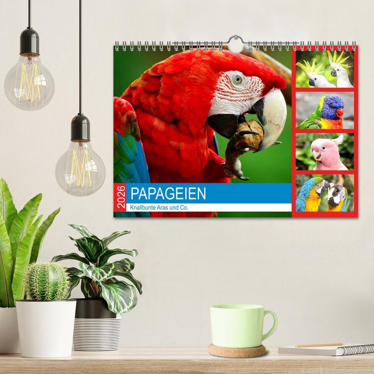 Produktbild: Papageien. Knallbunte Aras und Co. (Wandkalender 2026 DIN A4 quer), CALVENDO Monatskalender