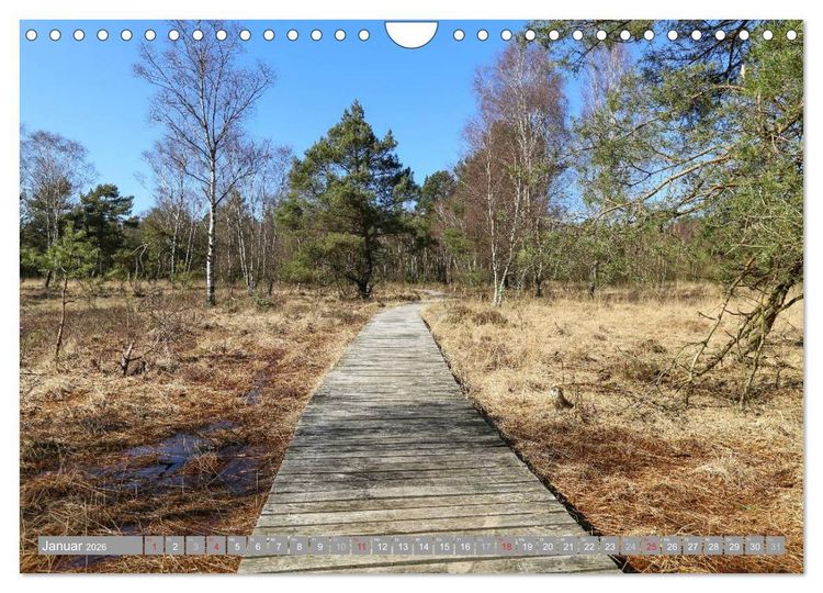 Produktbild: Pietzmoor - ein Hochmoor in der L&uuml;neburger Heide (Wandkalender 2026 DIN A4 quer), CALVENDO Monatskalender