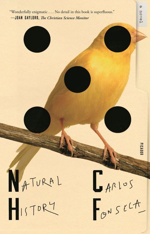 Produktbild: Natural History
