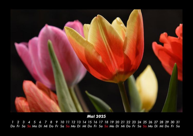 Produktbild: Blumenzauber 2025 Fotokalender DIN A3