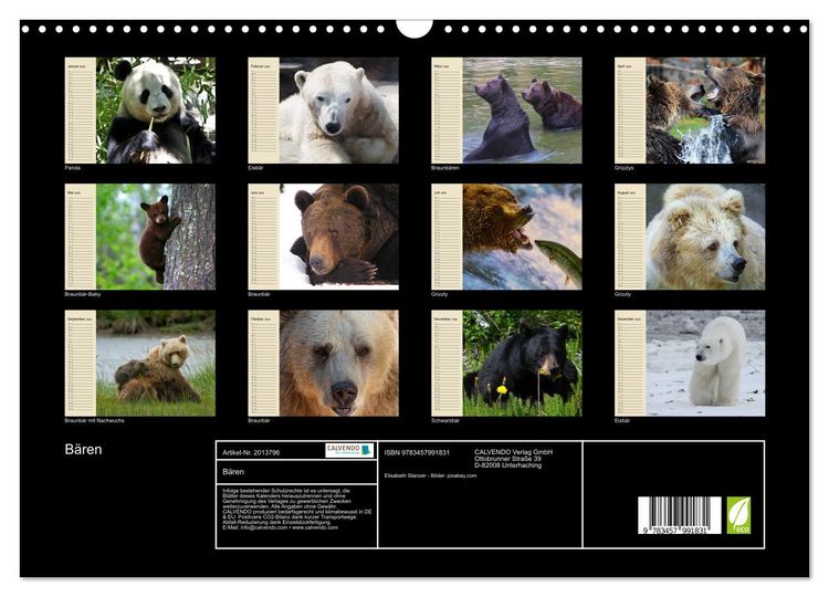 Produktbild: B&auml;ren (Wandkalender 2026 DIN A3 quer), CALVENDO Monatskalender