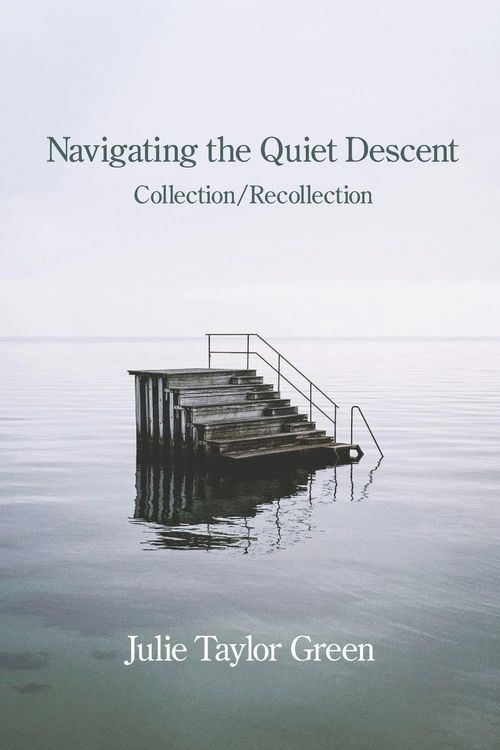 Produktbild: Navigating the Quiet Descent