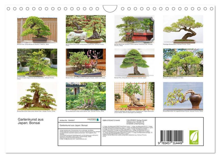 Produktbild: Gartenkunst aus Japan: Bonsai (Wandkalender 2026 DIN A4 quer), CALVENDO Monatskalender