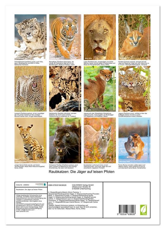 Produktbild: Raubkatzen: Die J&auml;ger auf leisen Pfoten (Wandkalender 2026 DIN A3 hoch), CALVENDO Monatskalender