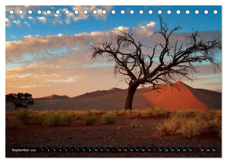 Produktbild: Afrikas B&auml;ume (Tischkalender 2026 DIN A5 quer), CALVENDO Monatskalender