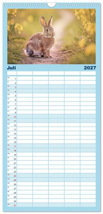 Produktbild: Familienplaner 2027 - Zwischen den Feldern mit 5 Spalten (Wandkalender, 21 x 45 cm) CALVENDO