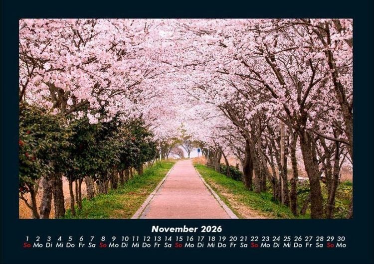 Produktbild: Natur Pur 2026 Fotokalender DIN A4