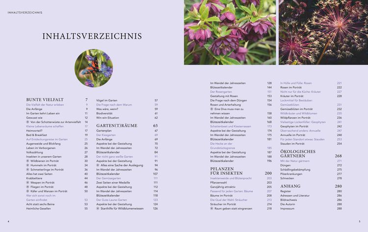 Mein summendes Paradies