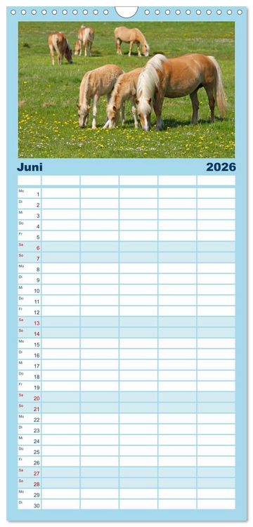 Produktbild: Familienplaner 2026 - Ostseeinseln R&uuml;gen, Hiddensee, Ummanz mit 5 Spalten (Wandkalender, 21 x 45 cm) CALVENDO