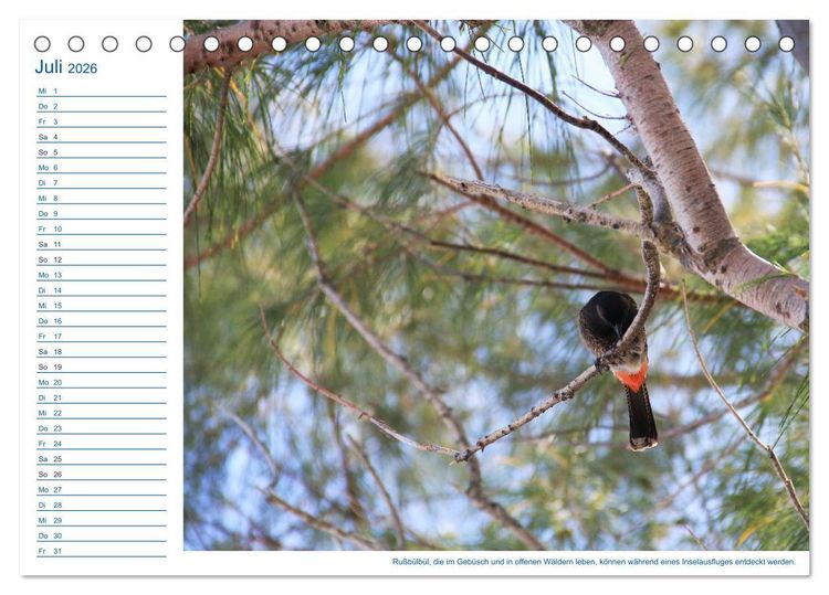 Produktbild: S&uuml;dsee-Insel Mo'orea (Tischkalender 2026 DIN A5 quer), CALVENDO Monatskalender