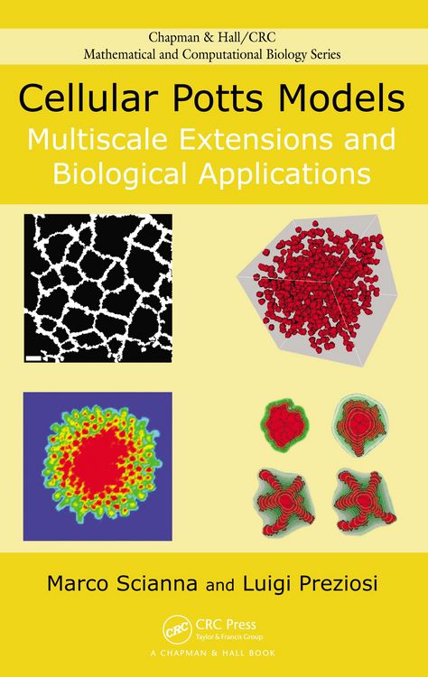 Produktbild: Cellular Potts Models