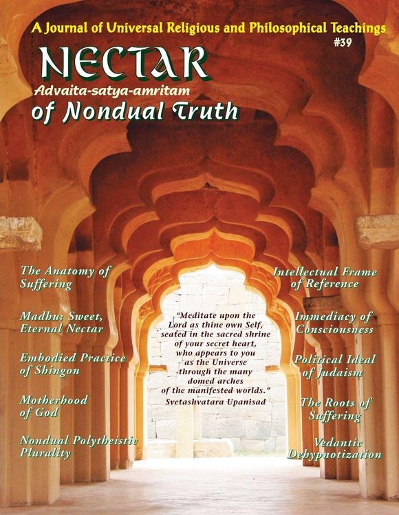 Produktbild: Nectar of Nondual Truth #39