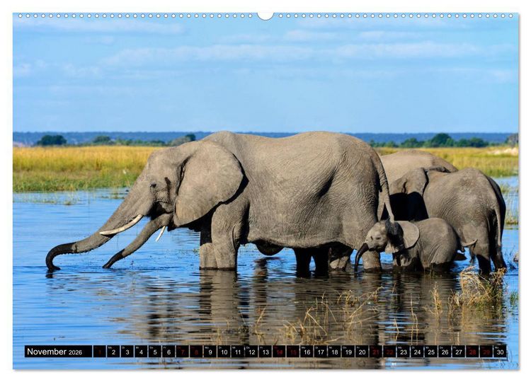 Produktbild: Faszination Botswana (hochwertiger Premium Wandkalender 2026 DIN A2 quer), Kunstdruck in Hochglanz