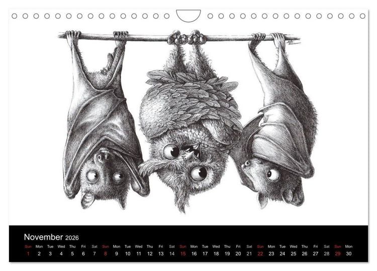 Produktbild: owls & friends 2026 (Wall Calendar 2026 DIN A4 landscape), CALVENDO 12 Month Wall Calendar