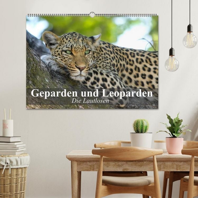Produktbild: Die Lautlosen. Geparden und Leoparden (Wandkalender 2026 DIN A2 quer), CALVENDO Monatskalender