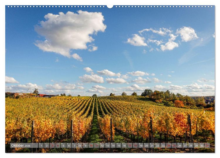 Produktbild: Werder - ein Kleinod an der Havel (hochwertiger Premium Wandkalender 2026 DIN A2 quer), Kunstdruck in Hochglanz
