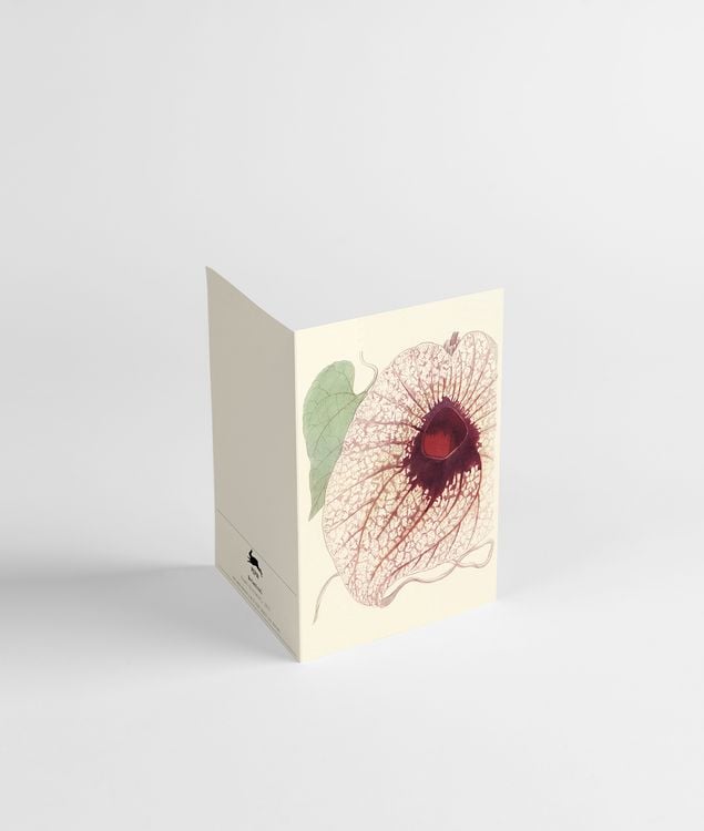 Produktbild: Botanical