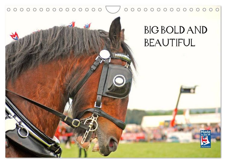 Produktbild: BIG BOLD AND BEAUTIFUL (Wall Calendar 2026 DIN A4 landscape), CALVENDO 12 Month Wall Calendar