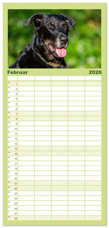 Produktbild: Familienplaner 2026 - Der Beauceron mit 5 Spalten (Wandkalender, 21 x 45 cm) CALVENDO