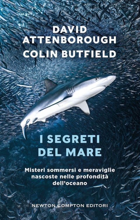Produktbild: I segreti del mare. Misteri sommersi e meraviglie nascoste nelle profondit&agrave; dell'oceano