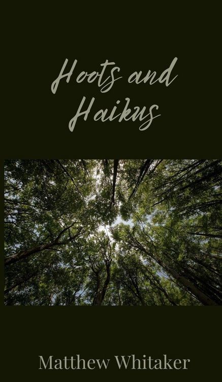 Produktbild: Hoots and Haikus