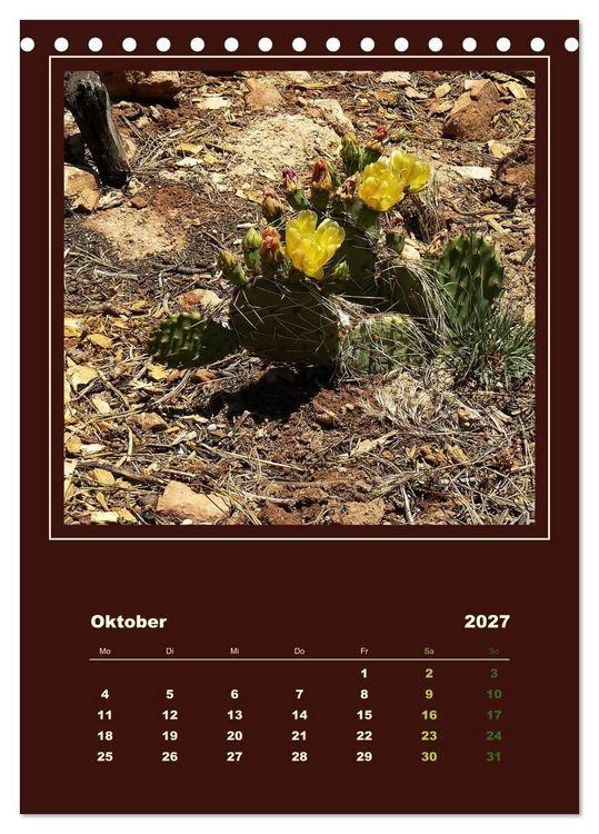 Produktbild: Wilde Kakteen Amerikas (Tischkalender 2027 DIN A5 hoch), CALVENDO Monatskalender
