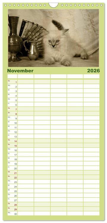 Produktbild: Familienplaner 2026 - Oma's Katzenkalender 2026 mit 5 Spalten (Wandkalender, 21 x 45 cm) CALVENDO