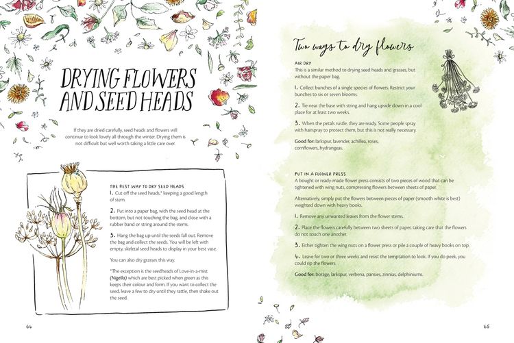Produktbild: The Magic of Seeds