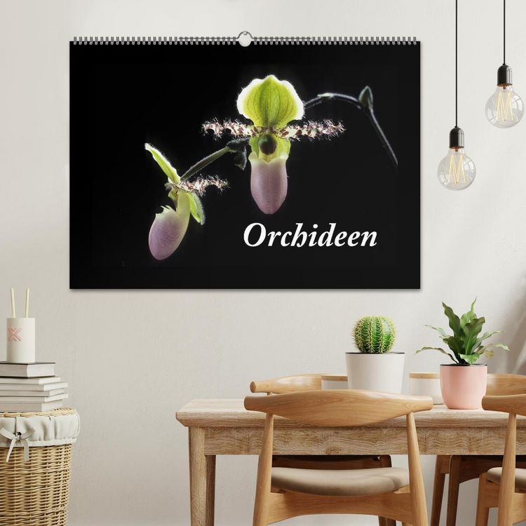 Produktbild: Orchideen 2026 (Wandkalender 2026 DIN A2 quer), CALVENDO Monatskalender