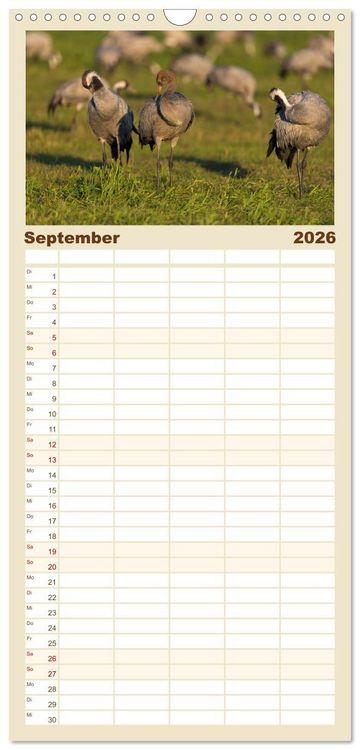 Produktbild: Familienplaner 2026 - Mit Kranichen durch das Jahr mit 5 Spalten (Wandkalender, 21 x 45 cm) CALVENDO