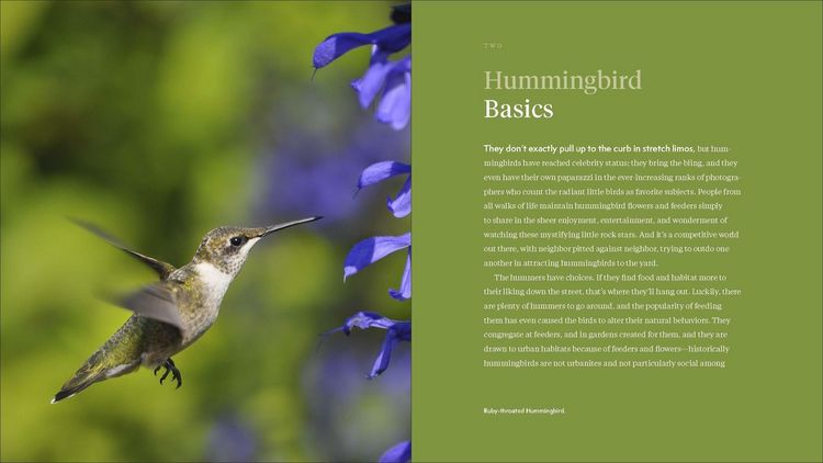 Produktbild: The Hummingbird Handbook