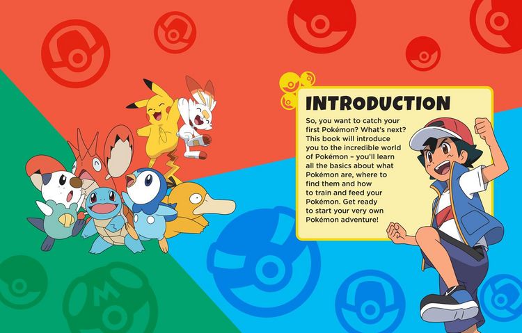 Produktbild: POKMON BEGINNERS GUIDE HB