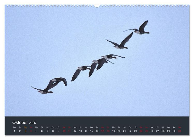 Produktbild: Heimat im Bremer Blockland (Wandkalender 2026 DIN A2 quer), CALVENDO Monatskalender