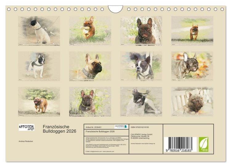 Produktbild: Franz&ouml;sische Bulldoggen 2026 (Wandkalender 2026 DIN A4 quer), CALVENDO Monatskalender