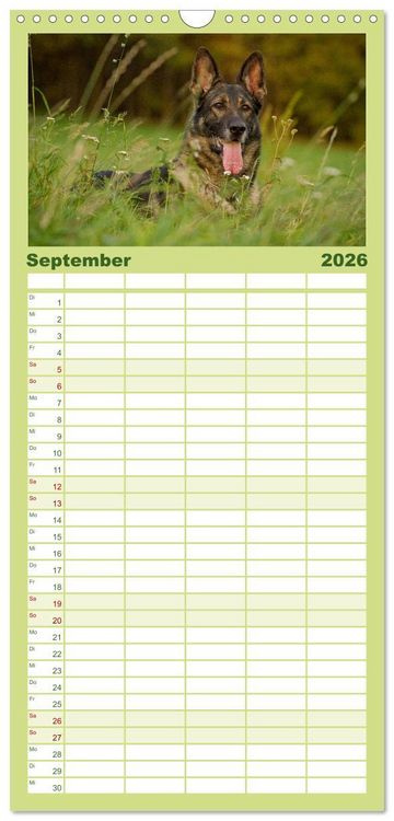Produktbild: Familienplaner 2026 - Faszination Hund mit 5 Spalten (Wandkalender, 21 x 45 cm) CALVENDO